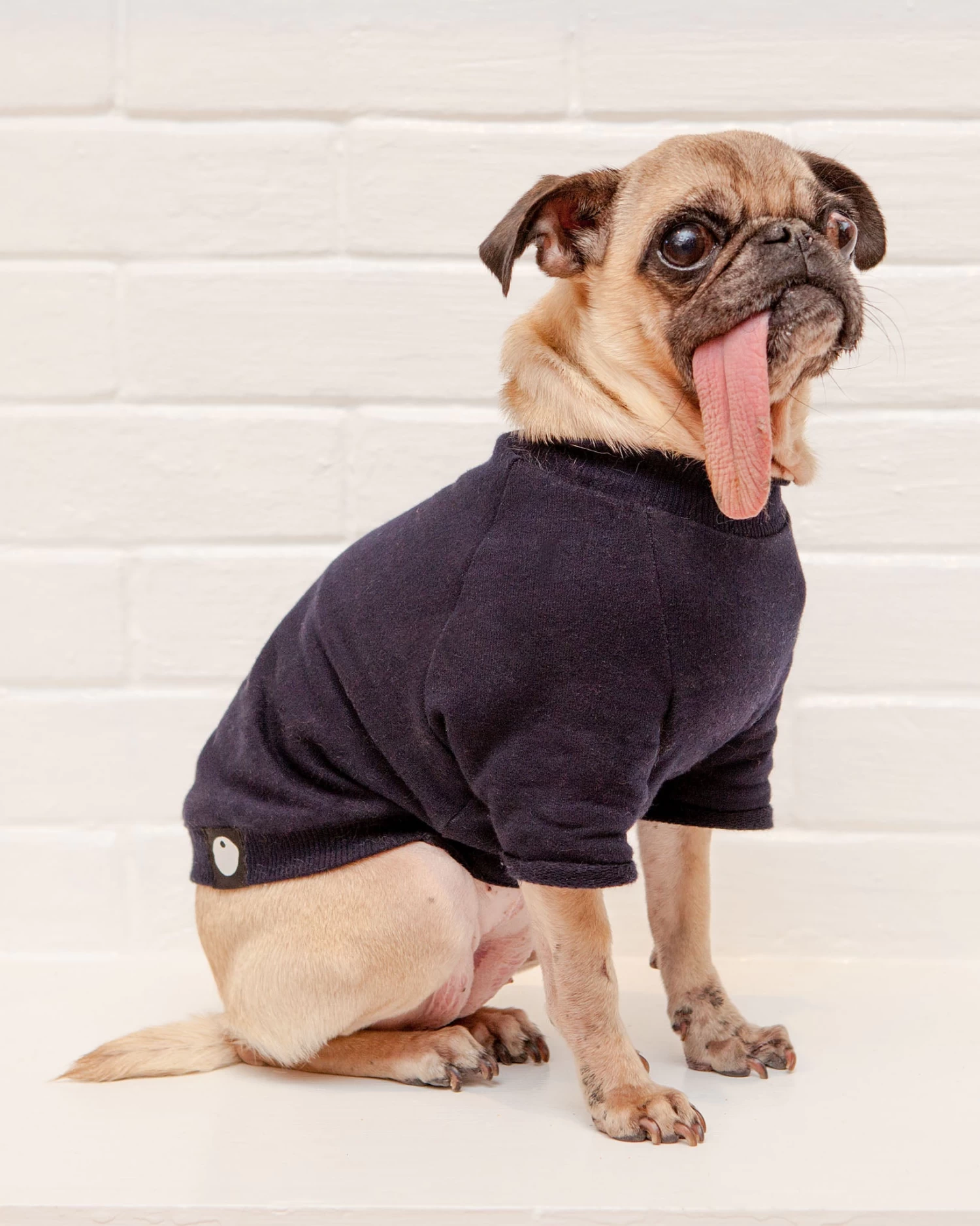 DOG & CO. COLLECTION Cut-Sleeve Crewneck Pullover In New Navy<br>(Made In NYC!) (FINAL SALE) - Image 6
