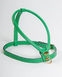 LA CINOPELCA Italian Leather Dog Harness In Green
