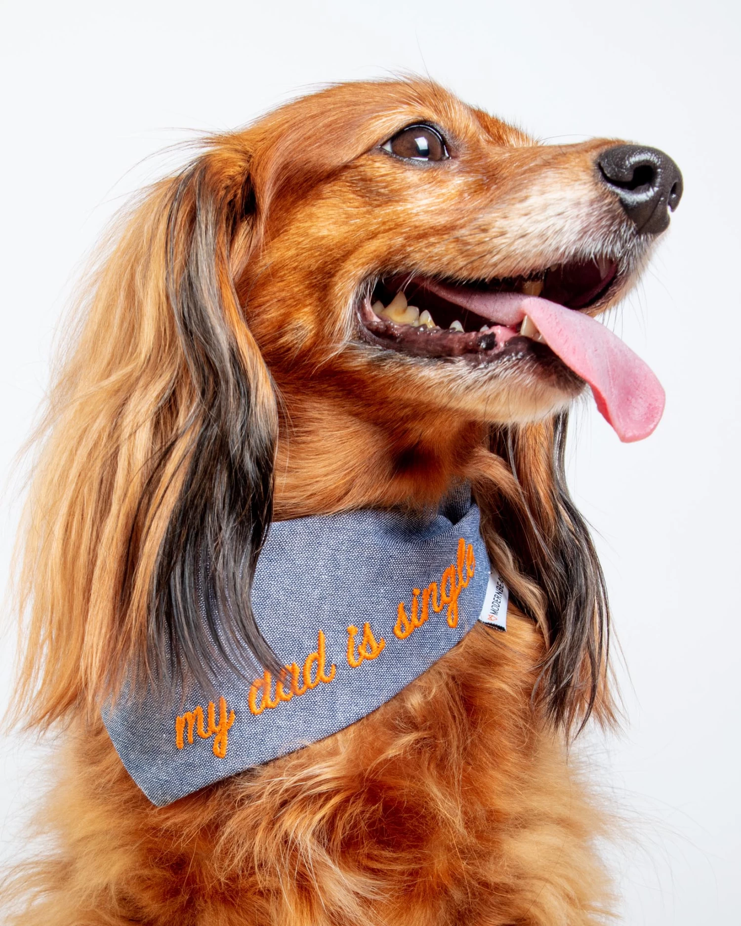 MODERN BEAST My Dad Is Single Chambray Bandana (Made In The USA)