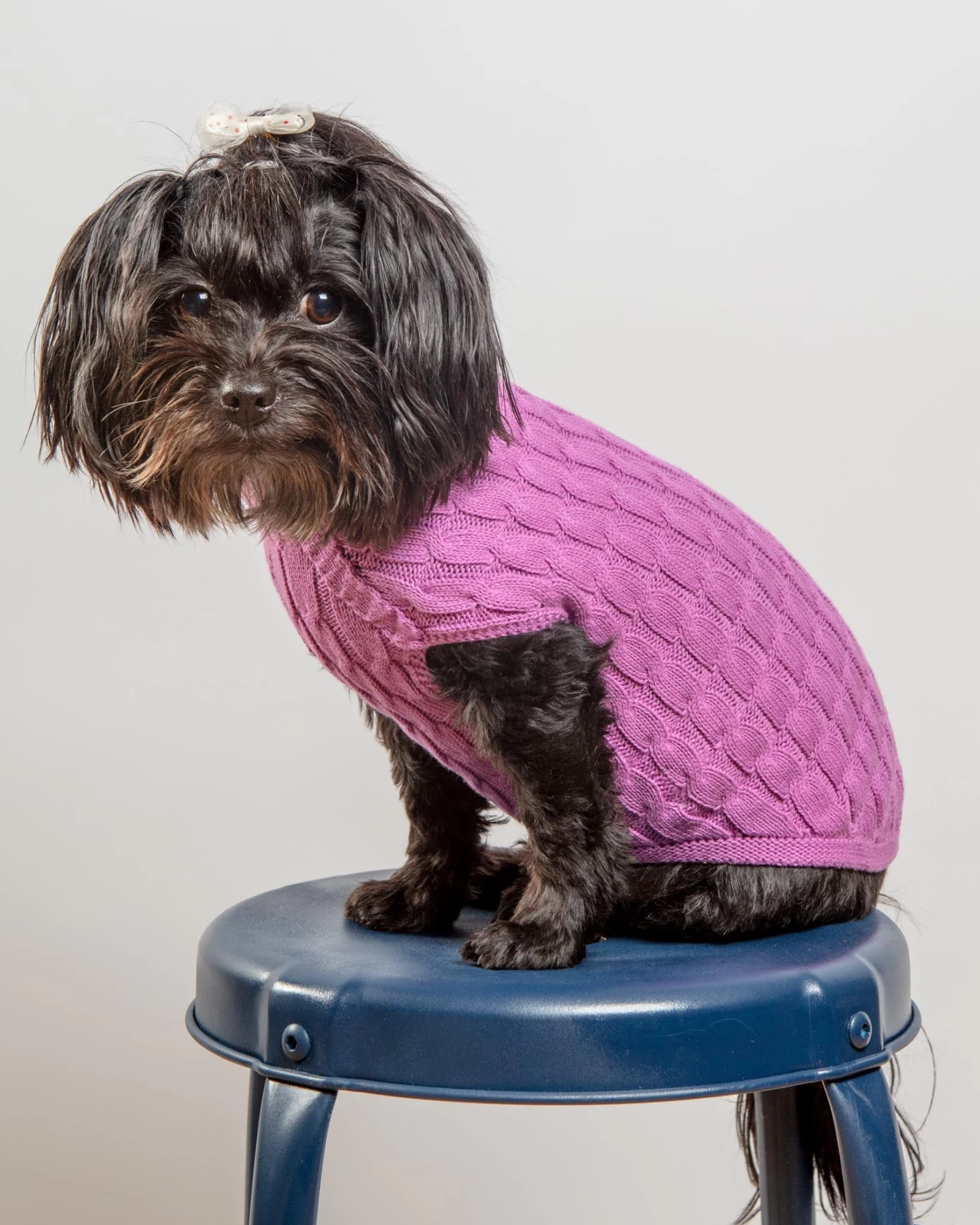 DOG & CO. COLLECTION The Uptown Cable Knit Sweater In Radiant Orchid American Cotton (Made In NYC) - Image 7