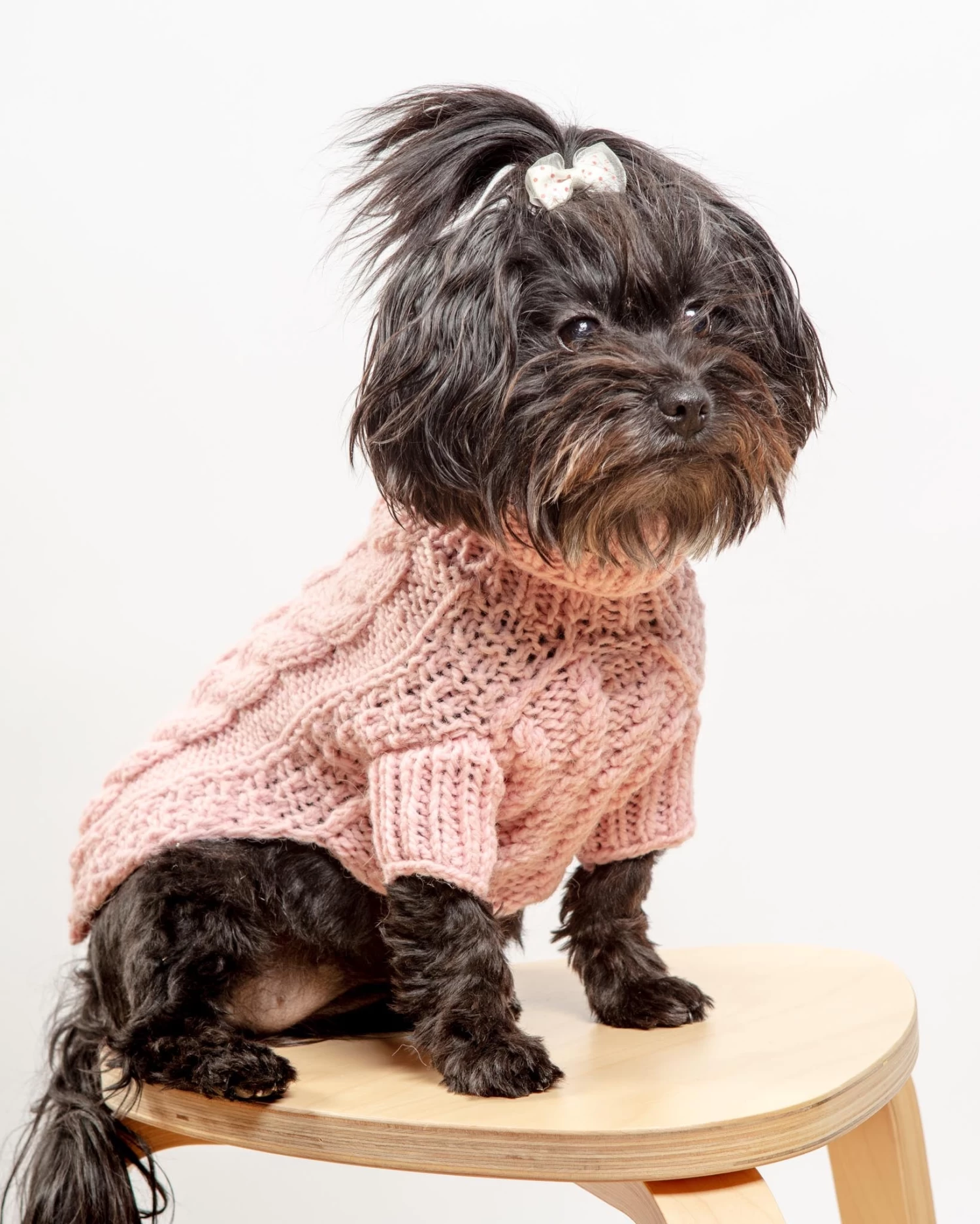 DOG & CO. COLLECTION Downtown Roll Neck Dog Sweater In Rose - Image 3