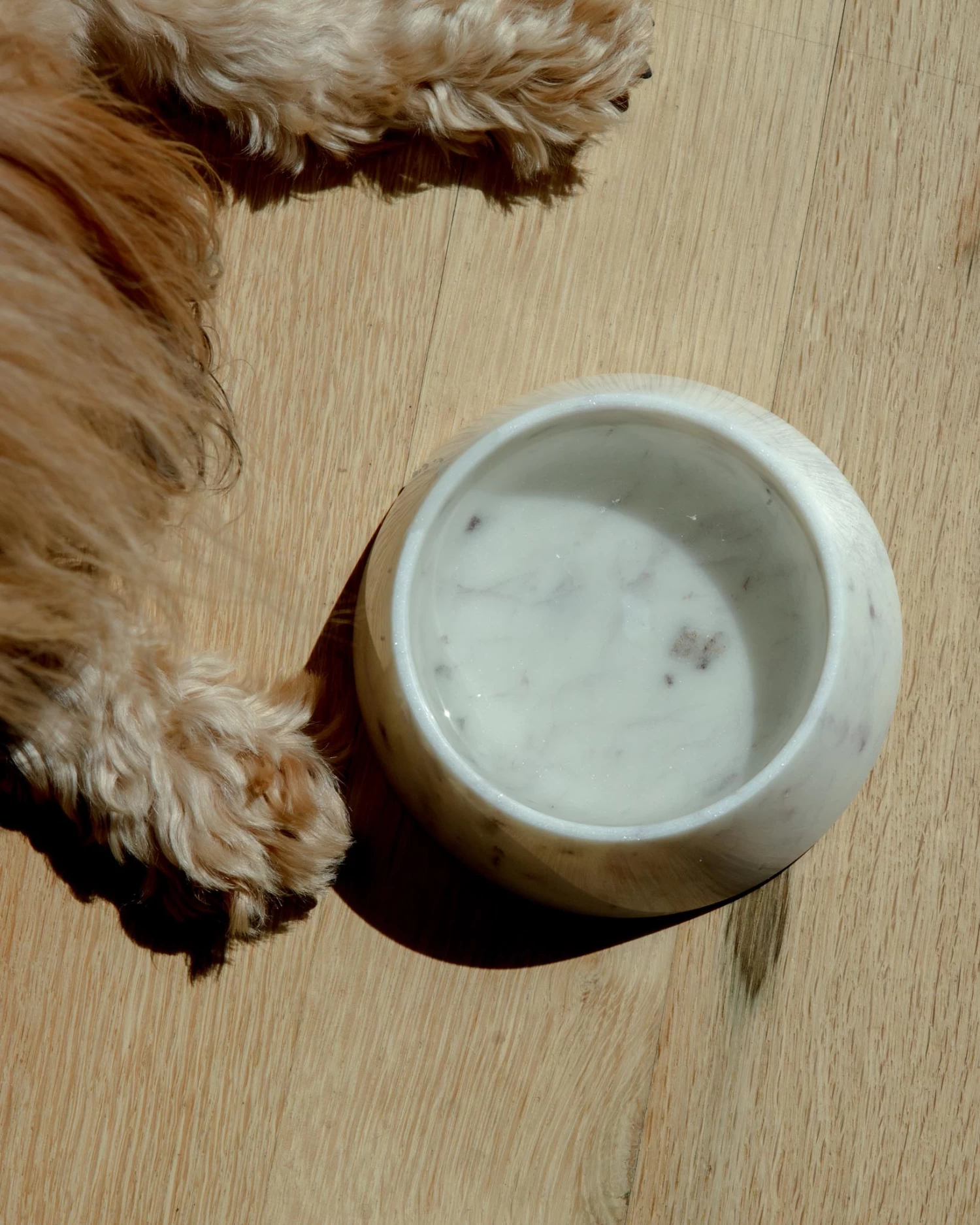 PUEBCO Puebco Marble Pet Bowl (FINAL SALE) - Image 2