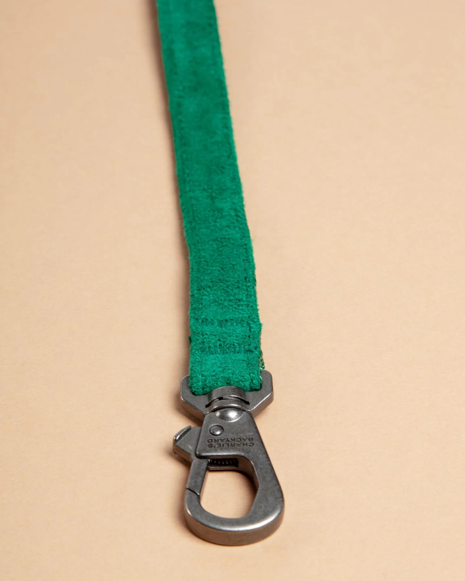 CHARLIE'S BACKYARD Adjustable Easy Dog Leash In Green - Image 3