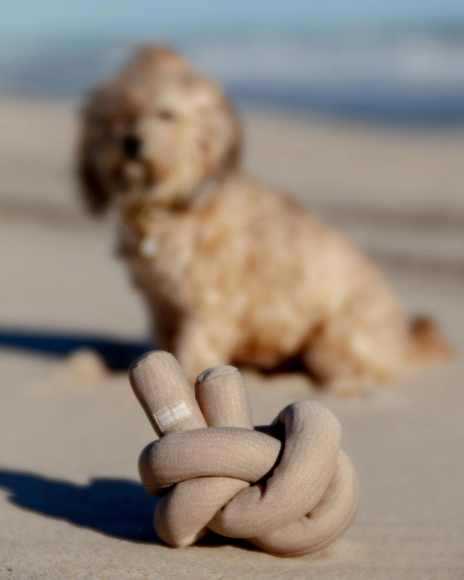 LAMBWOLF COLLECTIVE NouNou Interactive Crinkle Dog Toy In Tan - Image 2