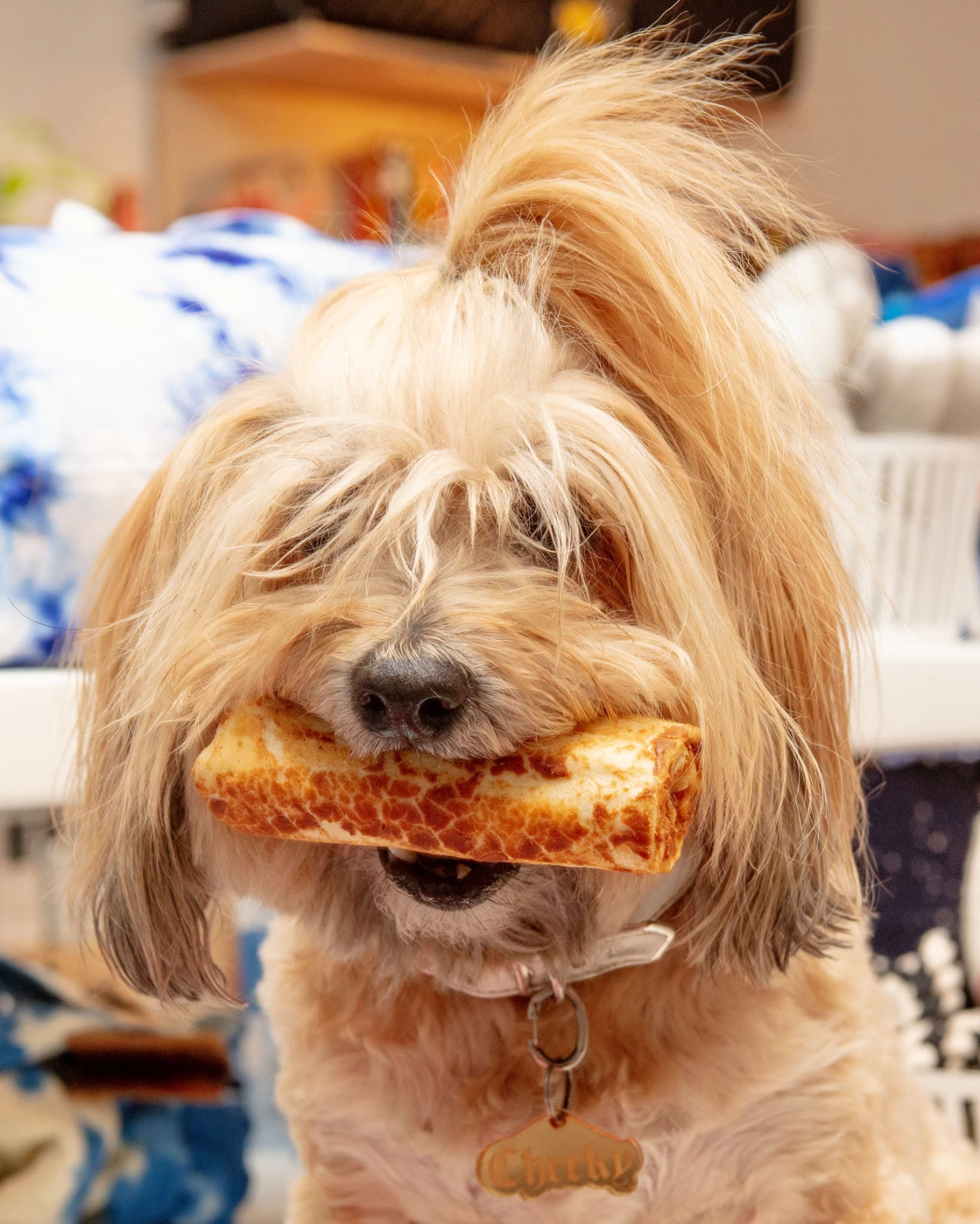 EARTH ANIMAL No-Hide Wholesome Dog Chew In Chicken - Image 2