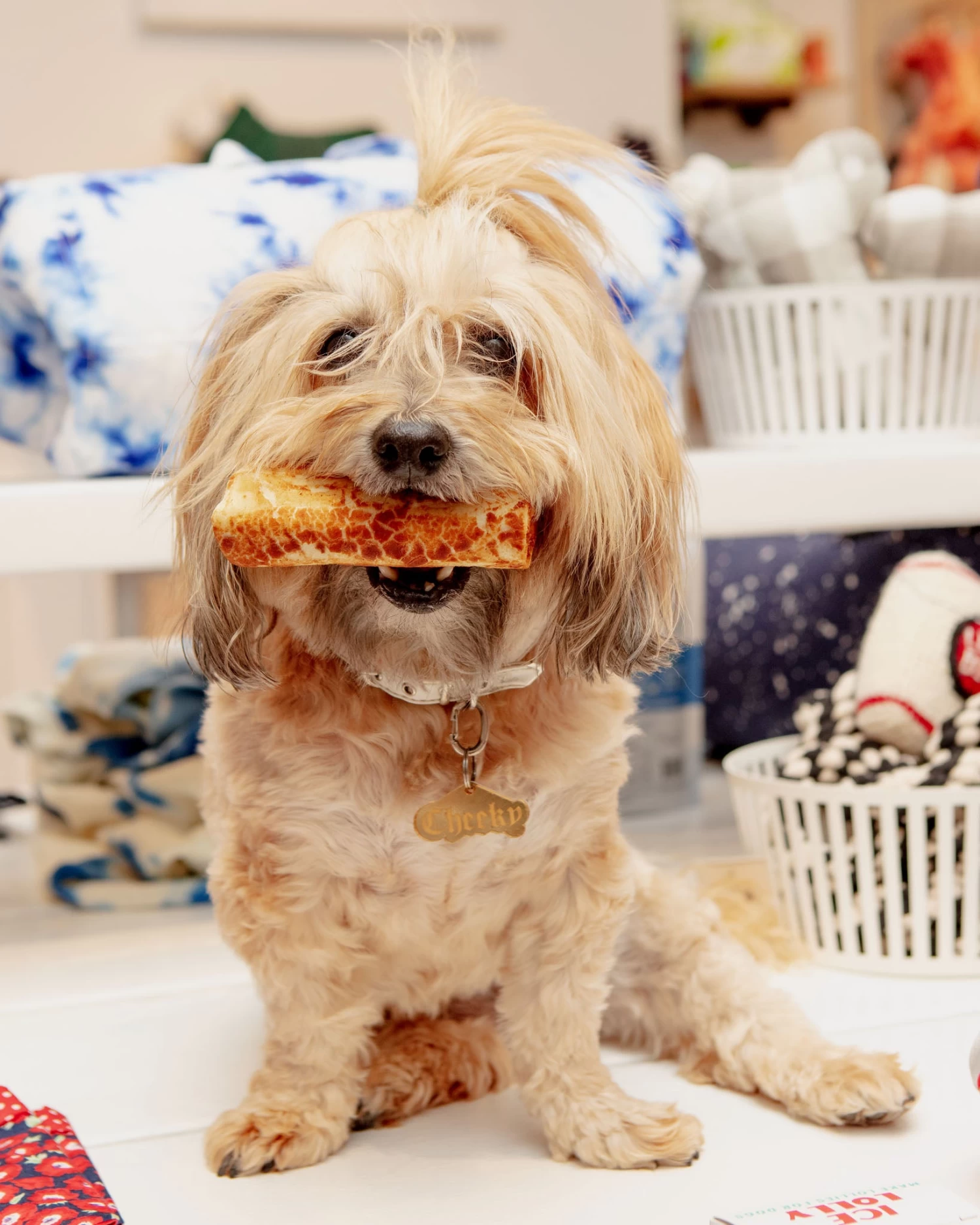 EARTH ANIMAL No-Hide Wholesome Dog Chew In Chicken - Image 4