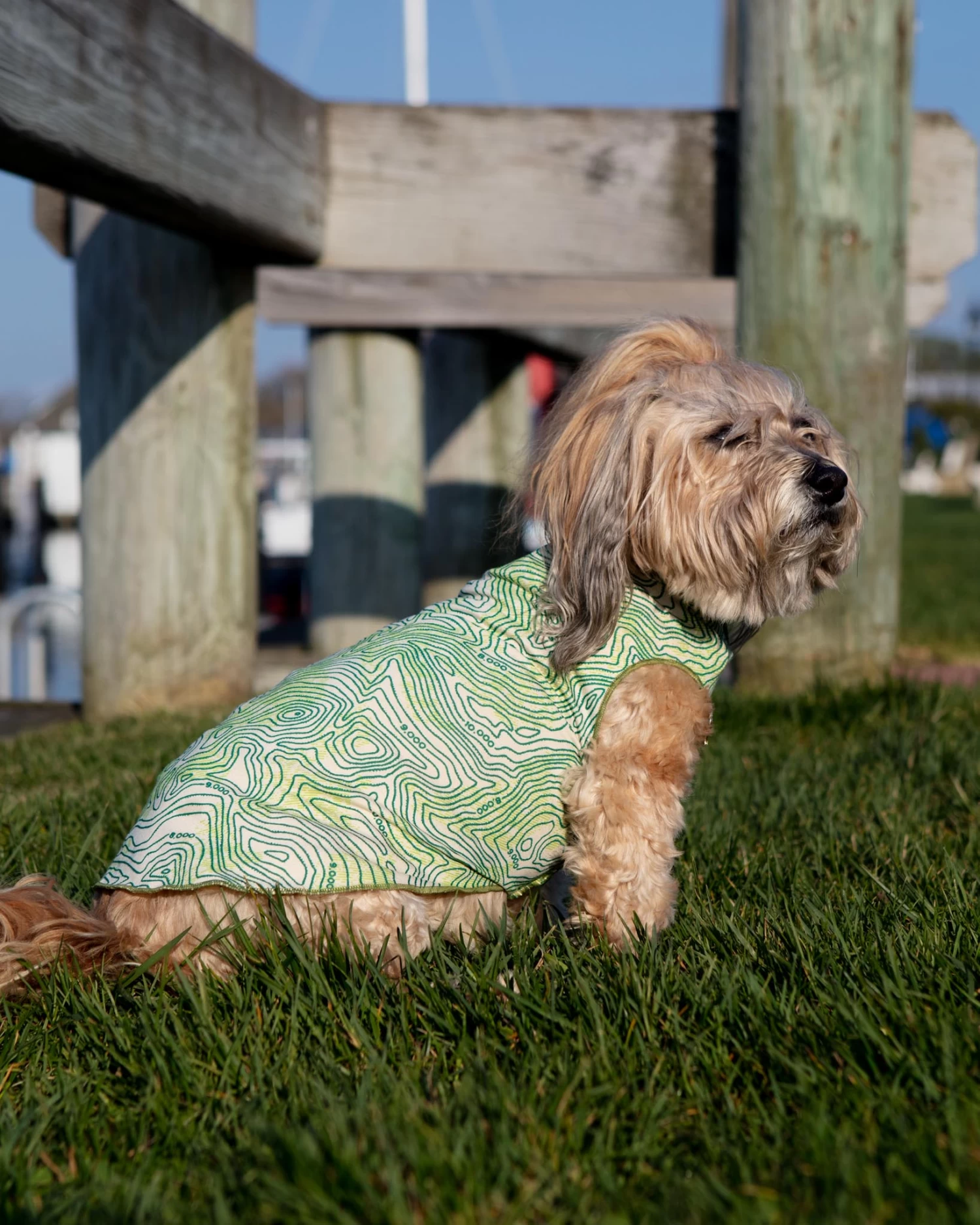 GOLD PAW Sun Shield Tee In Grand Teton Green (Made In The USA) - Image 4