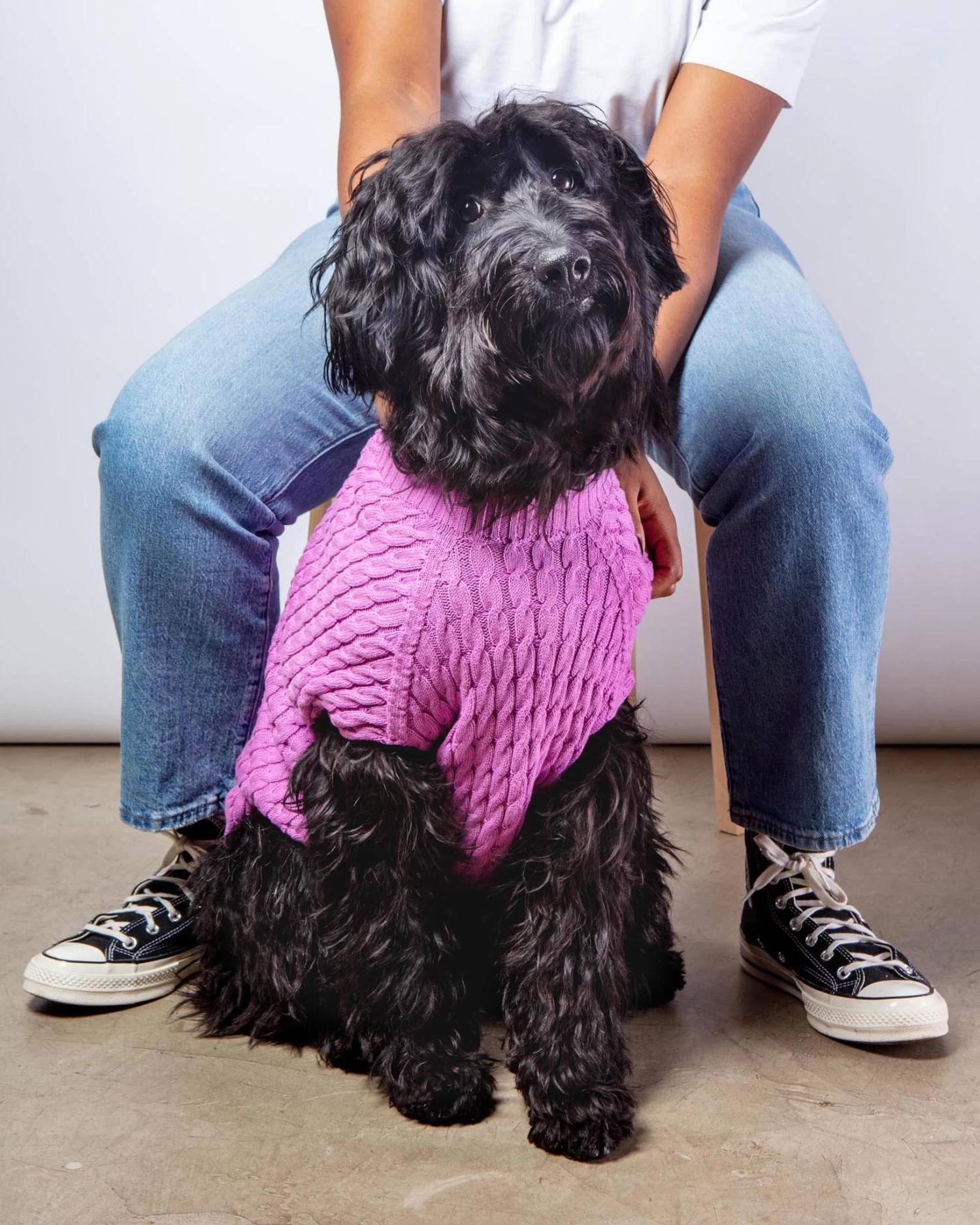 DOG & CO. COLLECTION The Uptown Cable Knit Sweater In Radiant Orchid American Cotton (Made In NYC)