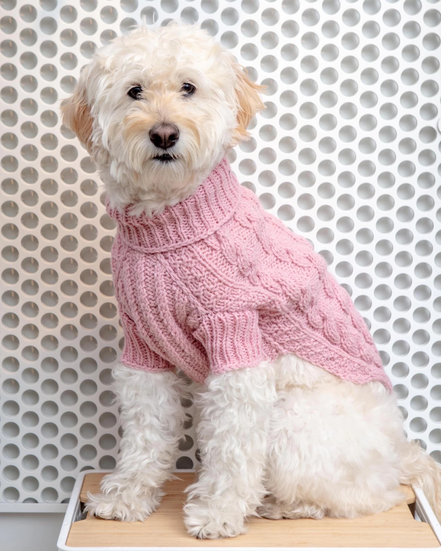 DOG & CO. COLLECTION Downtown Roll Neck Dog Sweater In Rose
