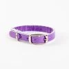 TRACEY TANNER The Cleo Leather Tag Collar In Purple Patent (DOG & CO. Exclusive)