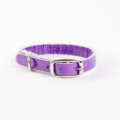 TRACEY TANNER The Cleo Leather Tag Collar In Purple Patent (DOG & CO. Exclusive)