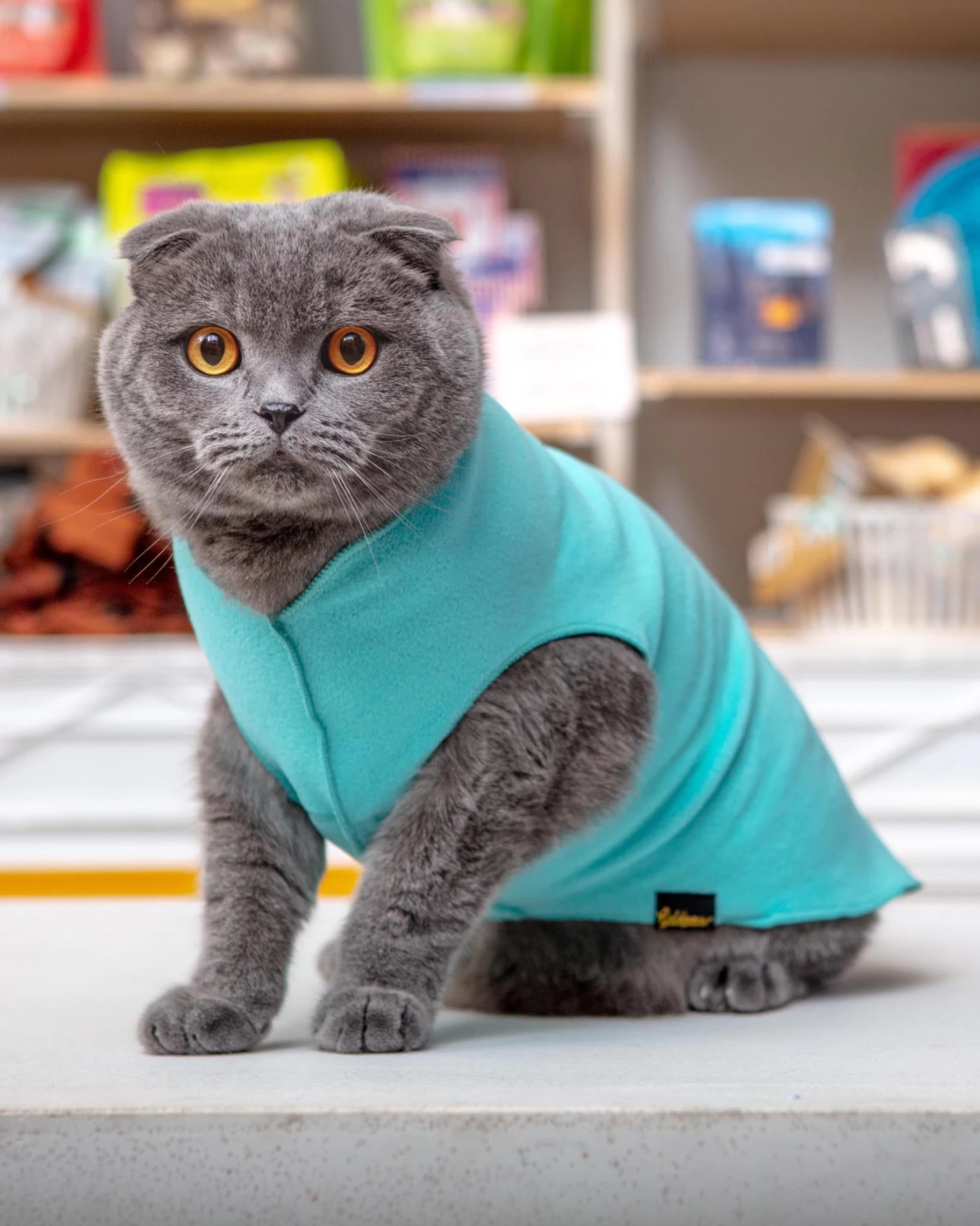 GOLD PAW Stretch Fleece Pullover In Turquoise