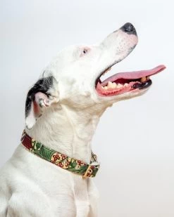 BLOSSOM CO. William Morris Golden Lily Dog Collar