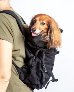 K9 SPORT SACK K9 Sport Sack Dog Backpack (Air 2) (FINAL SALE)