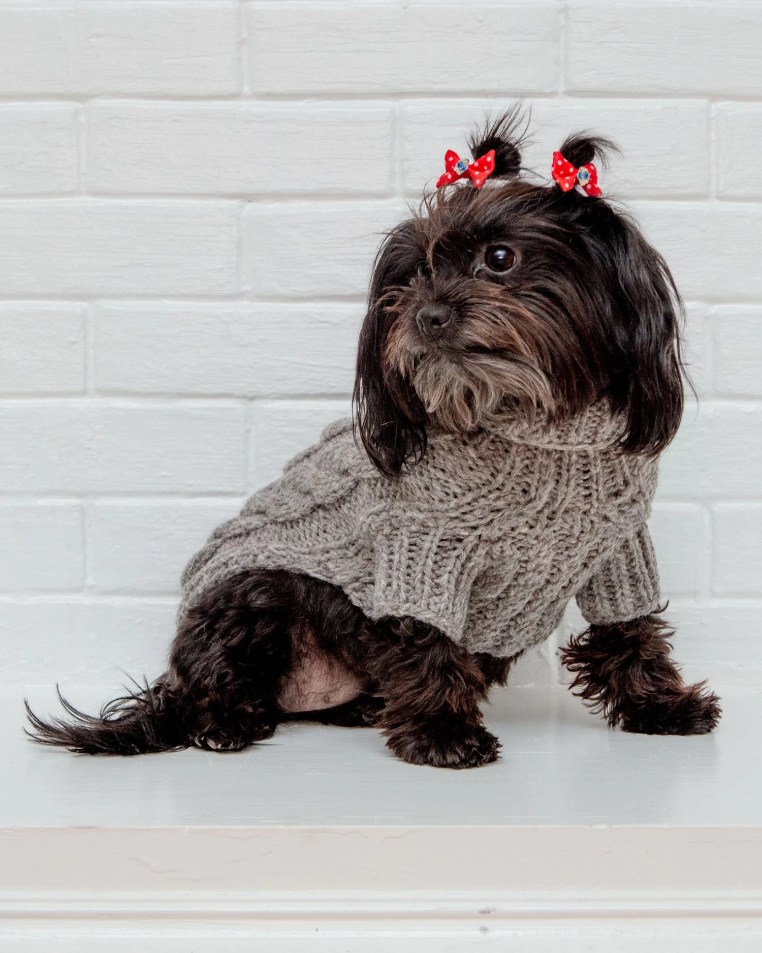 DOG & CO. COLLECTION Downtown Roll Neck Dog Sweater In Grey - Image 10