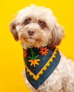 BANDITS BANDANA Endless Bloom Organic Cotton Bandana (FINAL SALE)