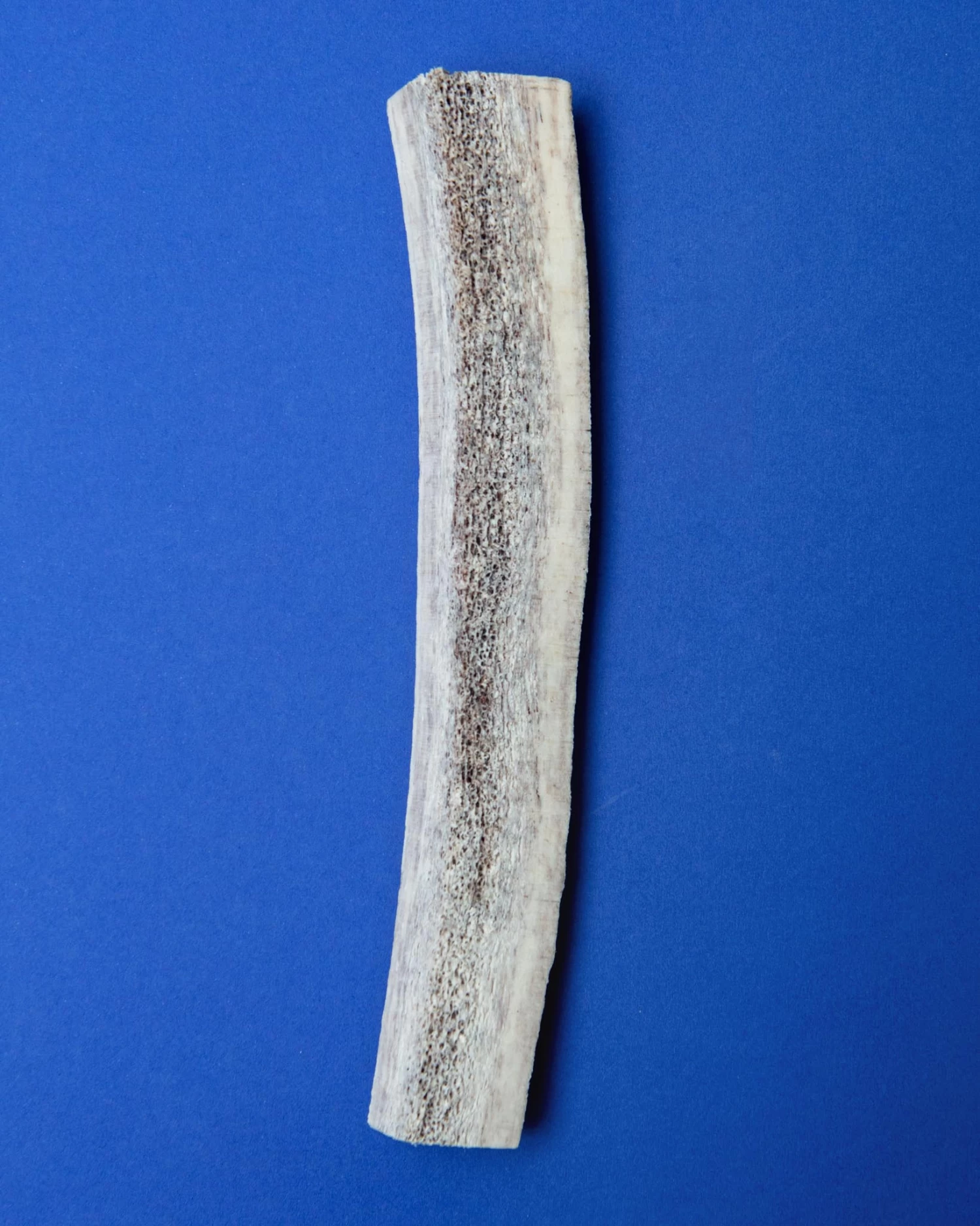 PUPFORD Split Elk Antler Dog Single Chew - Image 4