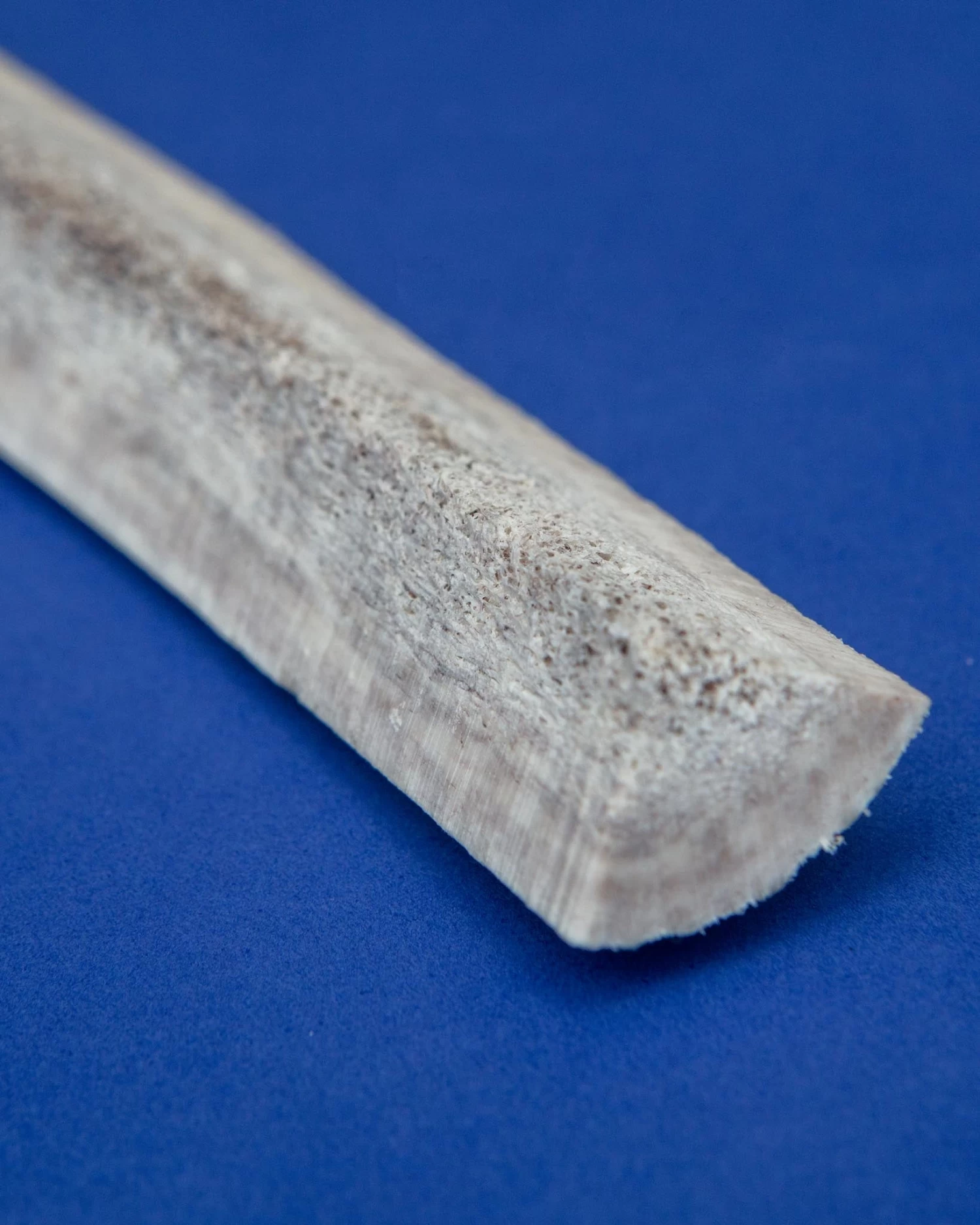 PUPFORD Split Elk Antler Dog Single Chew - Image 7