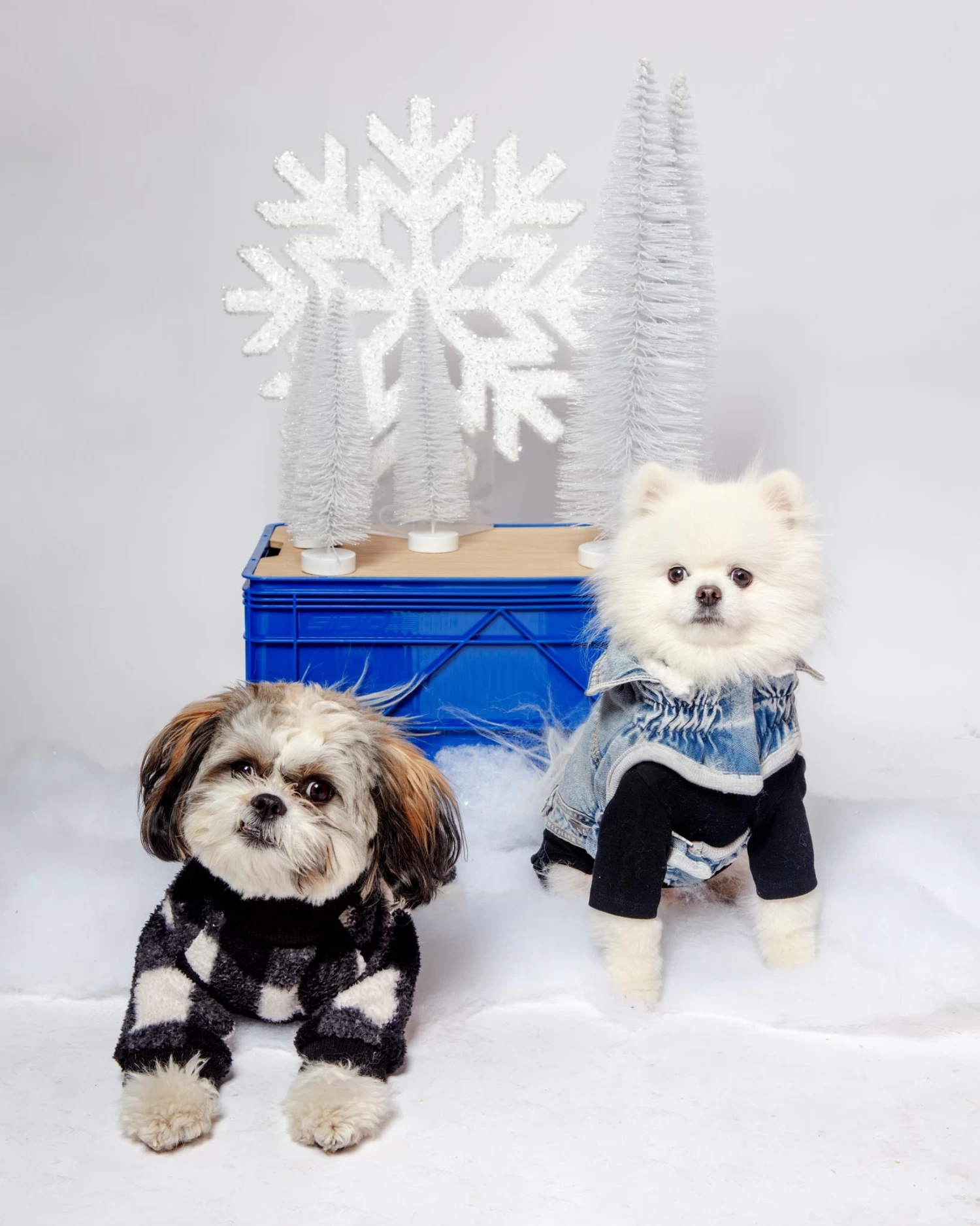 CHARLIE'S BACKYARD Monster Warmer Dog Onesie In Black Check (FINAL SALE) - Image 2