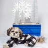 CHARLIE'S BACKYARD Monster Warmer Dog Onesie In Black Check (FINAL SALE)