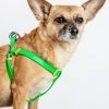 DOG & CO. COLLECTION A Walk In The Park Dog Harness (Made In The USA) (FINAL SALE)