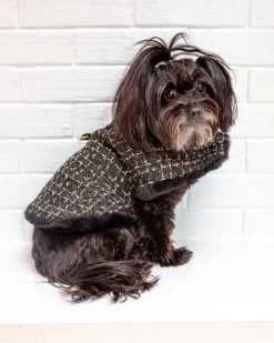 HELLO DOGGIE Chantel Tweed Dog Coat In Black (FINAL SALE)