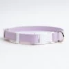 DOG & CO. COLLECTION A Walk In The Park Dog Collar In Lilac Or Black