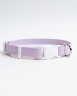 DOG & CO. COLLECTION A Walk In The Park Dog Collar In Lilac Or Black