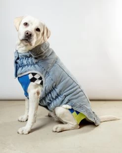 GF PET Denim Shearling Dog Jacket In Light Wash (FINAL SALE)