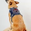 HEADS OR TAILS PUP NYC Denim Dog Harness (Dog & Co. Exclusive)