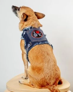 HEADS OR TAILS PUP NYC Denim Dog Harness (Dog & Co. Exclusive)