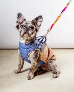 GOOBY Mountaineer Waterproof Dog Harness Jacket In Tan & Moonstone Blue (FINAL SALE)