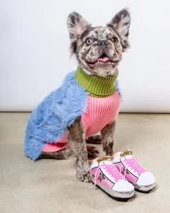 HAUTE DIGGITY DOG Golden Pooch Sneaker Plush Dog Toy In Pink