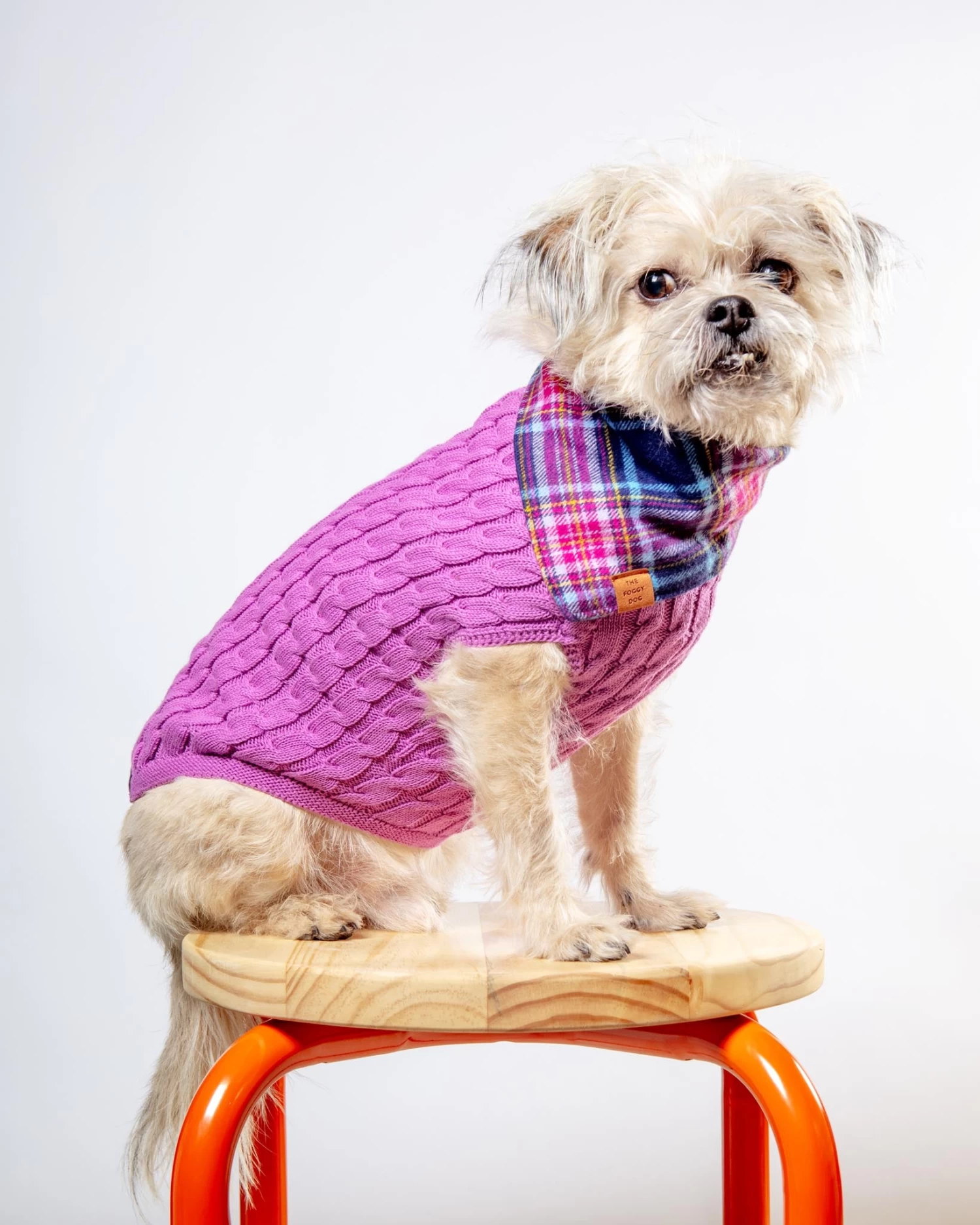 DOG & CO. COLLECTION The Uptown Cable Knit Sweater In Radiant Orchid American Cotton (Made In NYC) - Image 2