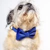THE FOGGY DOG Navy Velvet Dog Bow-Tie (Made In The USA)