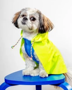 DOG & CO. COLLECTION Action Jacket Pull-On Raincoat In Safety Yellow + Blue (Made In NYC)