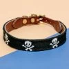 GOOD THREADS Skull & Crossbones Needlepoint Dog Collar (FINAL SALE)