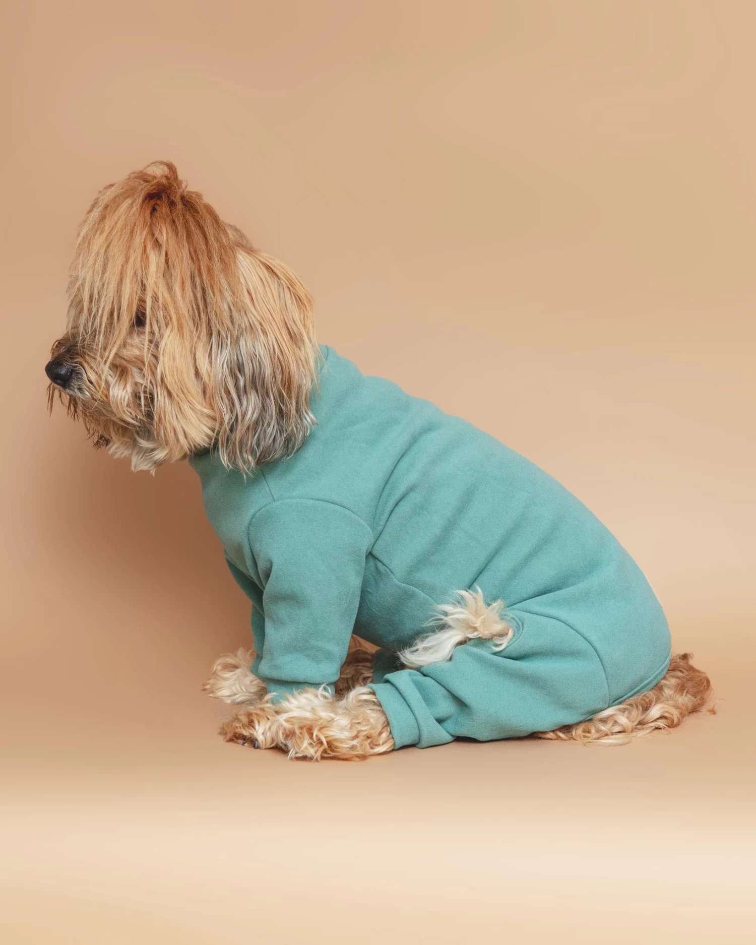 FUZZYARD Soft Touch Dog Onesie In Sandstone Or Myrtle Green (FINAL SALE) - Image 12
