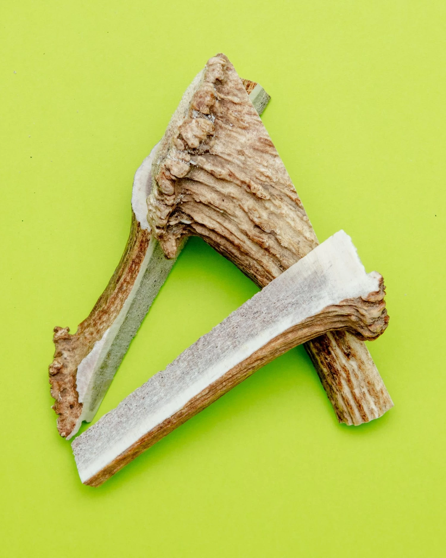 PUPFORD Split Elk Antler Dog Single Chew