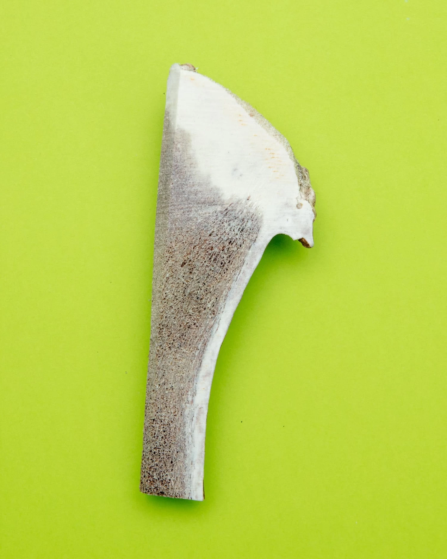 PUPFORD Split Elk Antler Dog Single Chew - Image 2