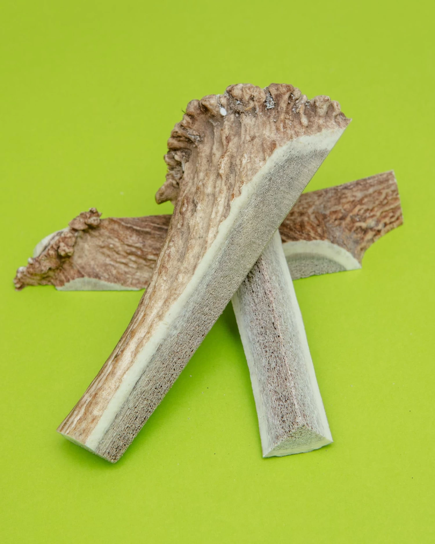 PUPFORD Split Elk Antler Dog Single Chew - Image 3