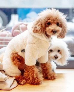 DENTISTS APPOINTMENT Boa Fleece Onesie In Cream (Dog & Co. Exclusive)