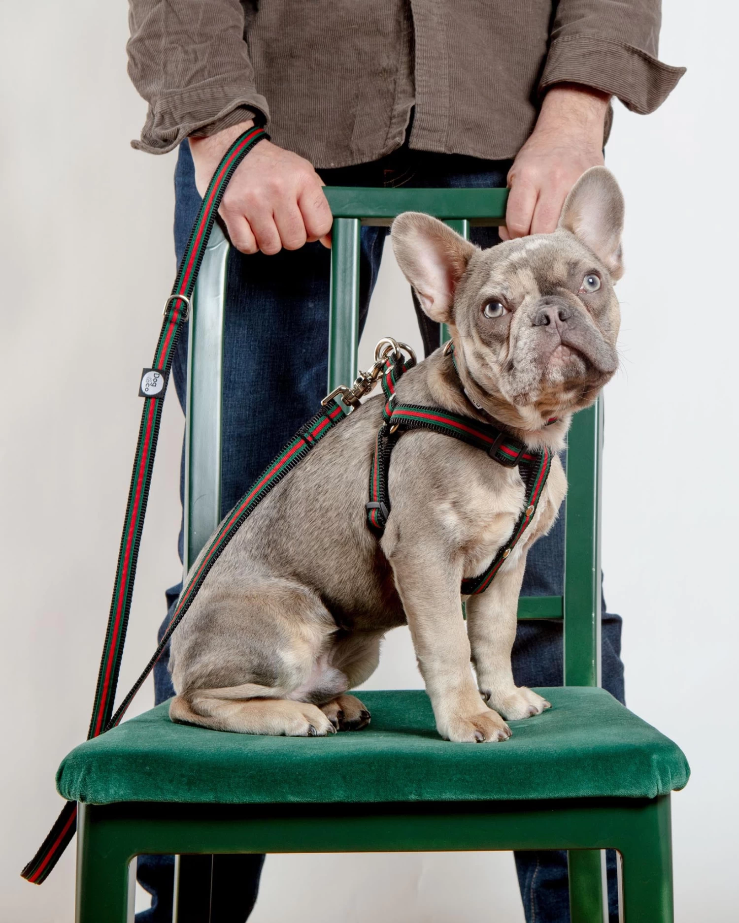 DOG & CO. COLLECTION Step-In Dog Harness In Luxe Green & Red Stripe (Made In NYC) - Image 9
