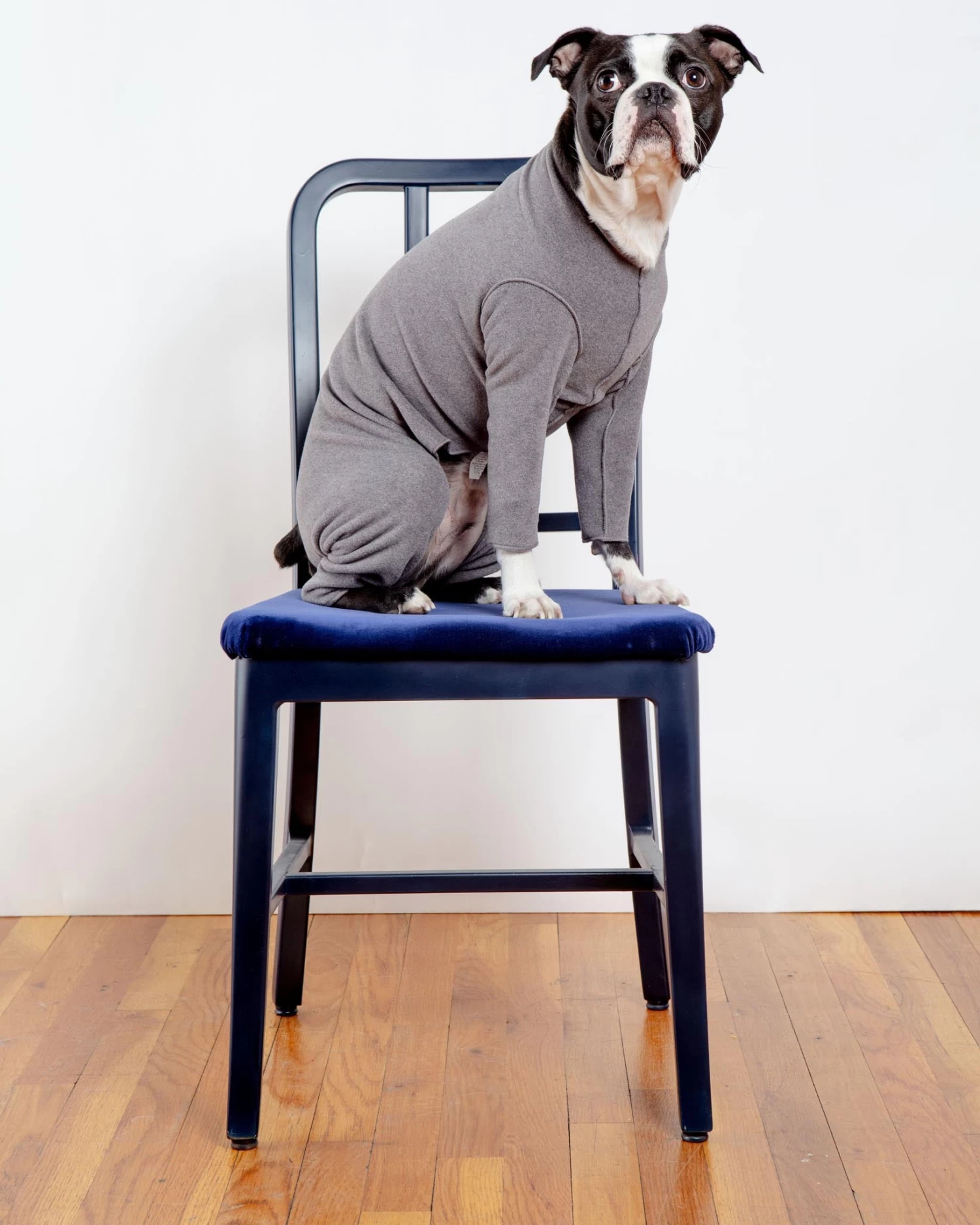 DOG & CO. COLLECTION Stretch Fleece Onesie In Charcoal (Made In The USA, DOG & CO. + GOLD PAW Exclusive!) - Image 3