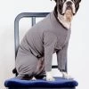 DOG & CO. COLLECTION Stretch Fleece Onesie In Charcoal (Made In The USA, DOG & CO. + GOLD PAW Exclusive!)