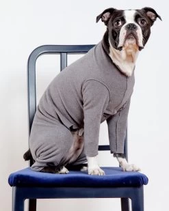 DOG & CO. COLLECTION Stretch Fleece Onesie In Charcoal (Made In The USA, DOG & CO. + GOLD PAW Exclusive!)