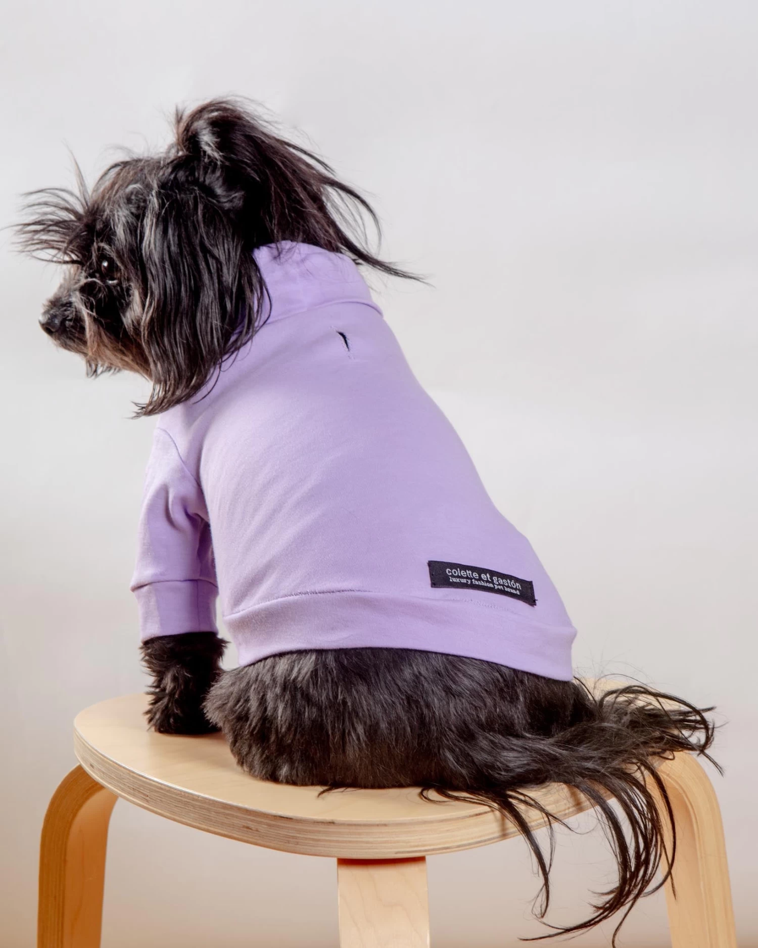 COLETTE ET GASTON Cotton Pullover Dog T-Shirt In Lavender Or Navy - Image 7