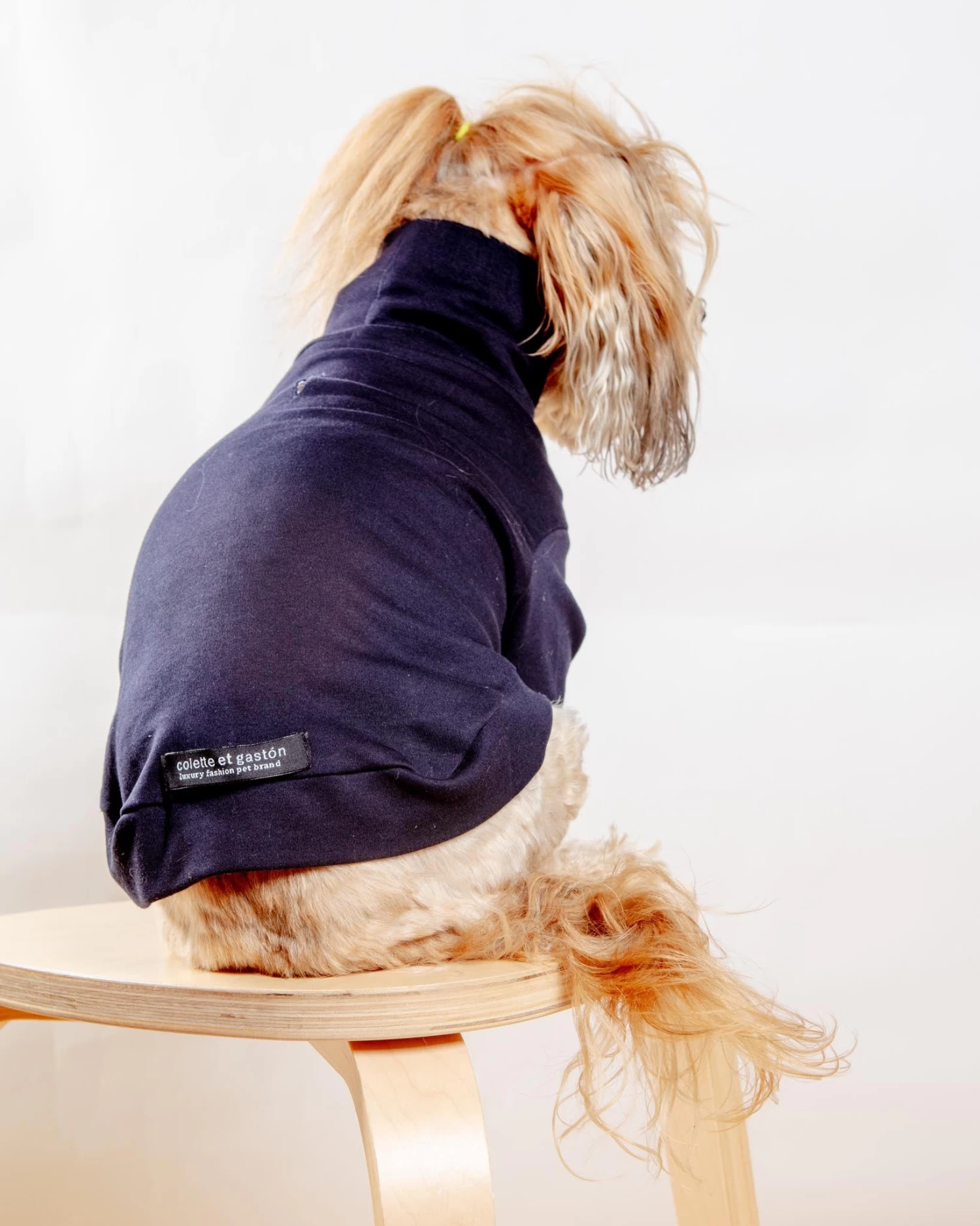 COLETTE ET GASTON Cotton Pullover Dog T-Shirt In Lavender Or Navy - Image 3