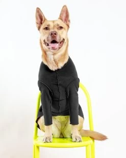 DOG & CO. COLLECTION Long-Sleeve Pullover Stretch Dog Fleece In Black (Made In The USA, Dog & Co. Exclusive!)