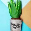 P.L.A.Y. Aloe You Vera Much Squeaky Dog Toy
